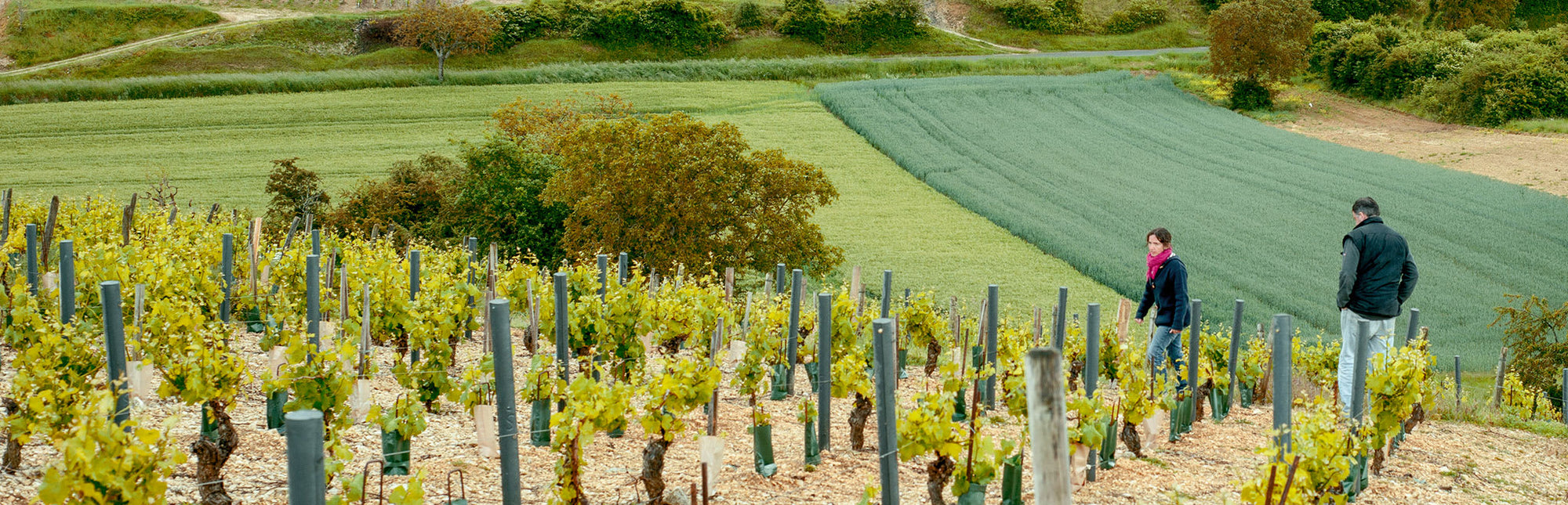 Domaine Paul Thomas