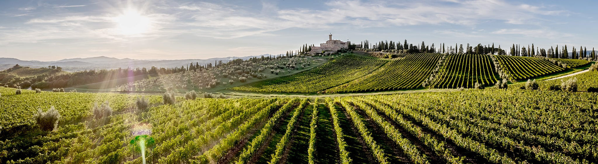 Castello Banfi