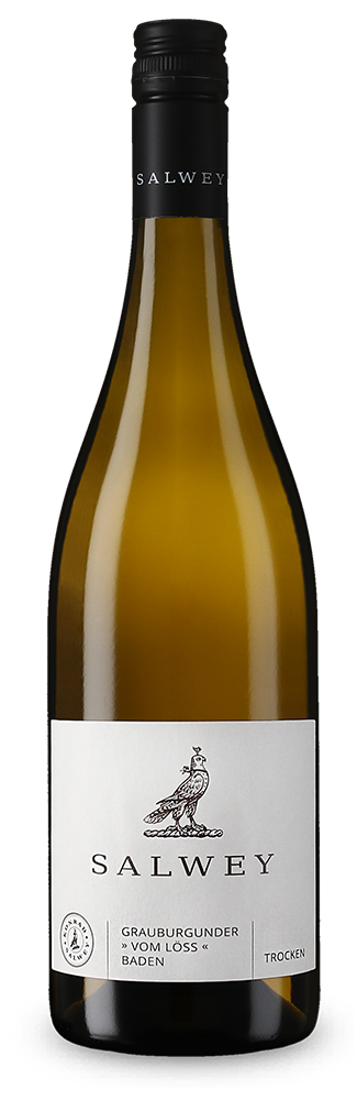 Grauburgunder vom Löss 2024