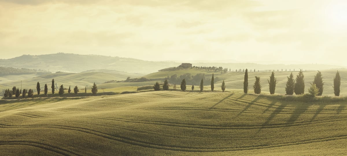 Wijn uit Toscane