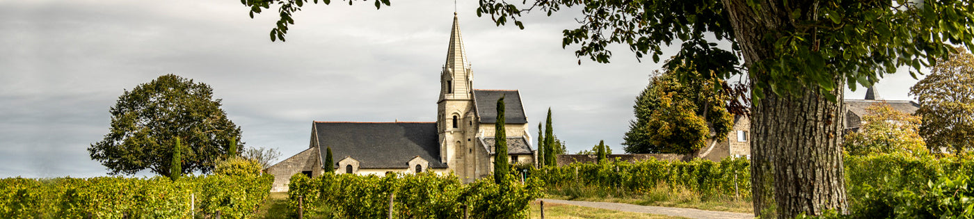 Bouvet Ladubay