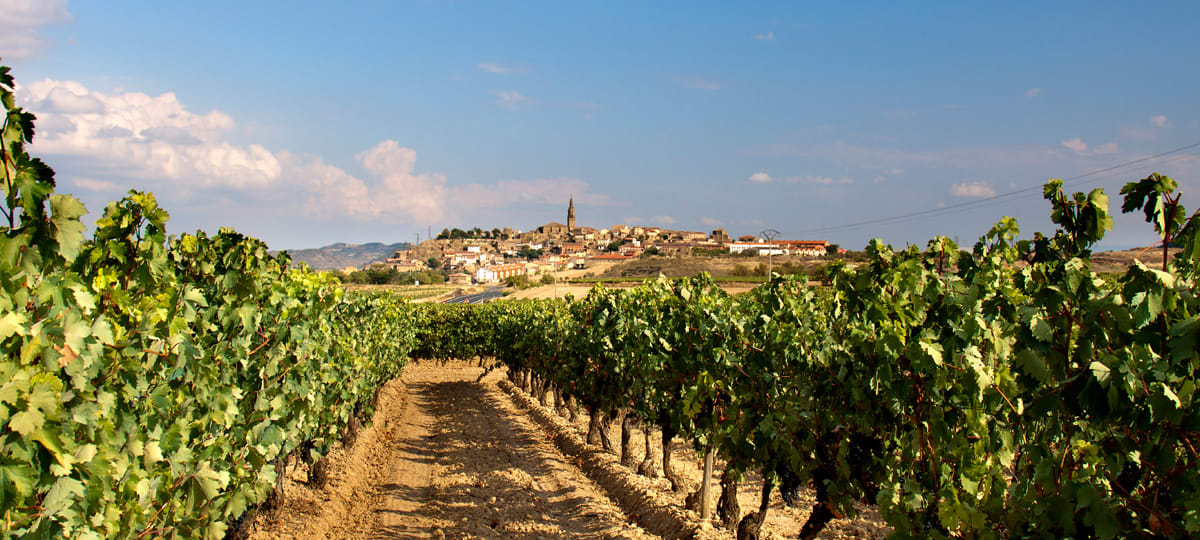 Wijn uit Rioja