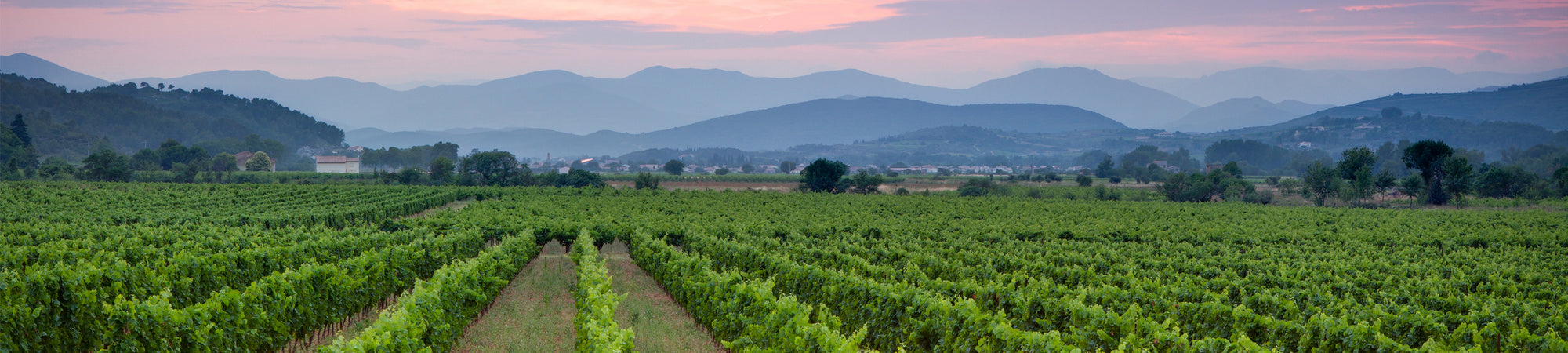 Languedoc-Roussillon 