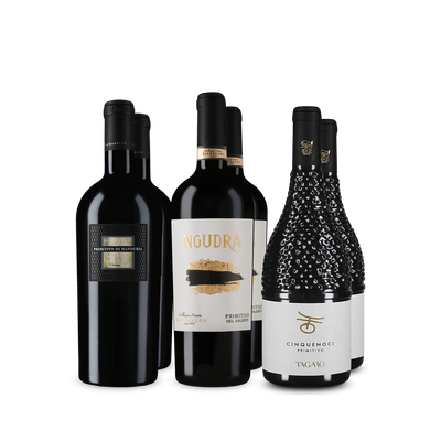Wine in Black premium primitivo-pakket