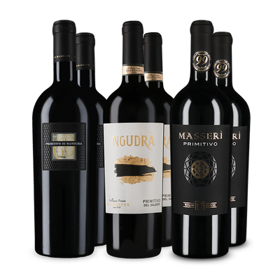 Wine in Black premium primitivo-pakket
