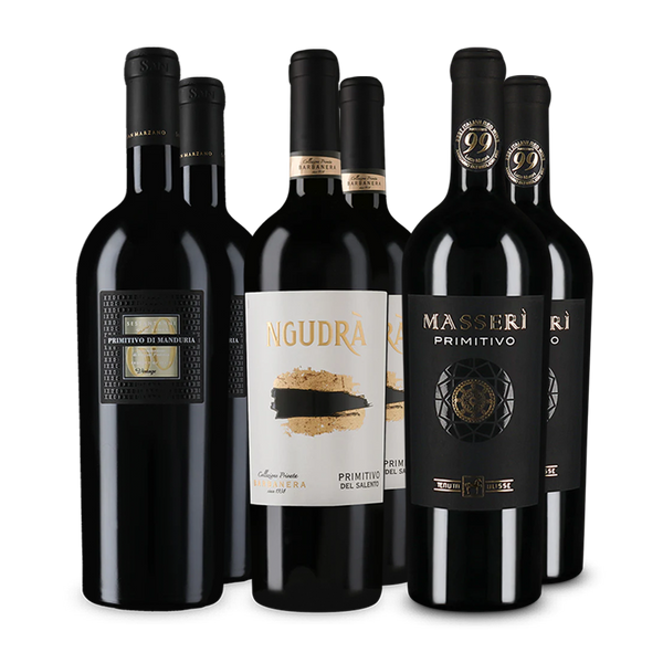 Wine in Black premium primitivo-pakket