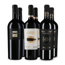 Wine in Black premium primitivo-pakket