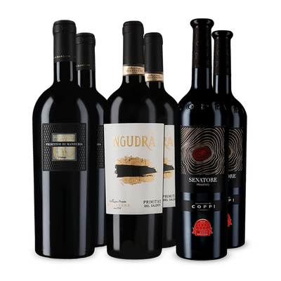 Wine in Black premium primitivo-pakket