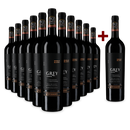 11+1 gratis: Cabernet Sauvignon Grey Maipo Valley 2019