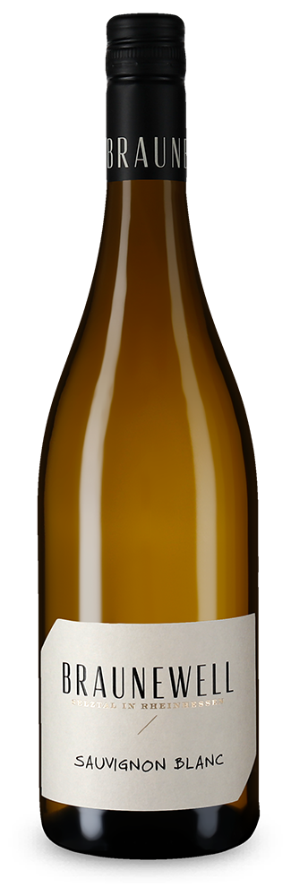 Sauvignon Blanc aus dem Selztal 2022