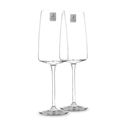 Set met twee Vivid Senses sekt- en schuimwijnglazen