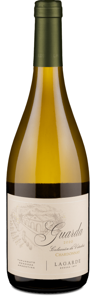 Chardonnay Guarda Colección de Viñedos Valle de Uco 2020