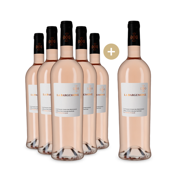 5+1 Flaschen Rosé Coteaux d'Aix-en-Provence 2022