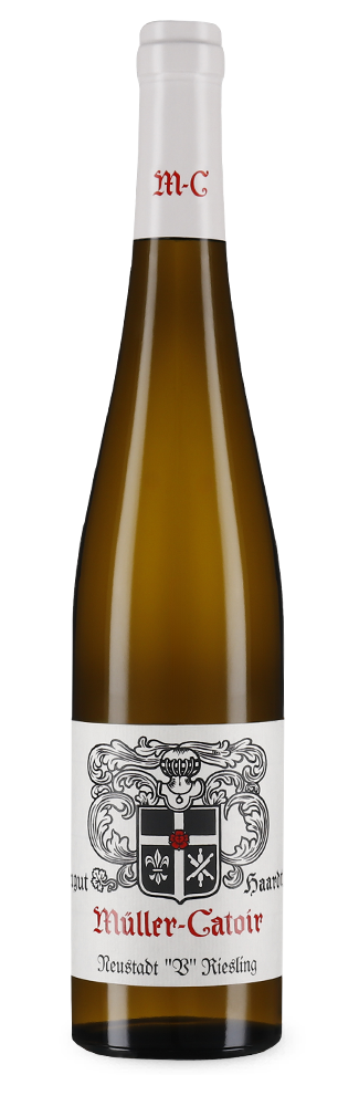 Neustadt V Riesling 2022