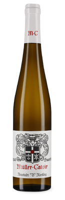 Neustadt V Riesling 2022