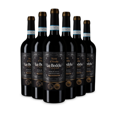 6 flessen Nero d’Avola Sicilia Appassimento 2022