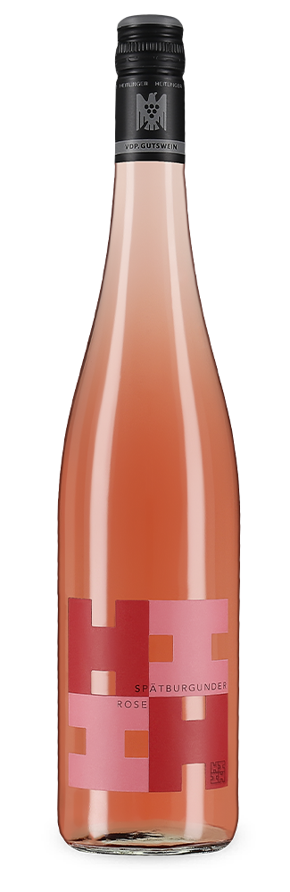 Rosé 2023