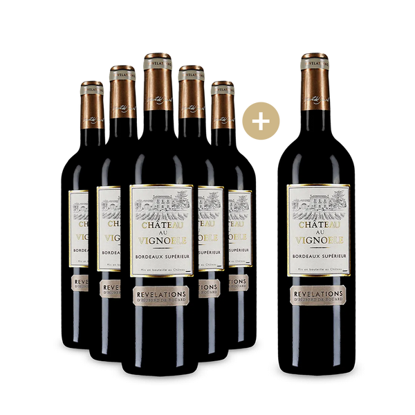 5+1 flessen Bordeaux Supérieur Révélations d'Hubert de Boüard 2020