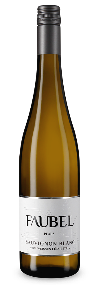 Sauvignon Blanc vom weißen Lössgestein 2023