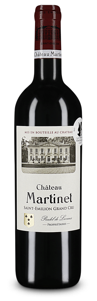 Saint-Émilion Grand Cru 2020 – Persoonlijke aanbeveling
