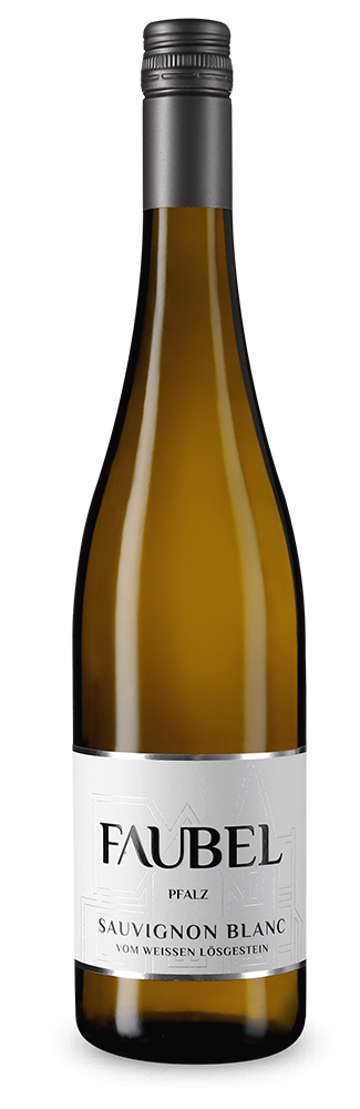 Sauvignon Blanc vom weißen Lössgestein 2024