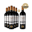 5+1 Flessen Castillon Côtes de Bordeaux 2020 + kelnersmes