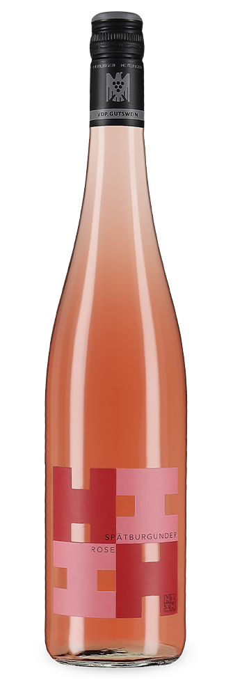 Rosé 2024