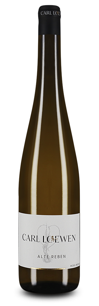 Alte Reben Riesling 2024