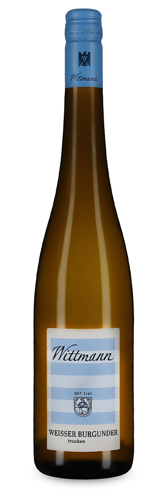 Weißburgunder 2024