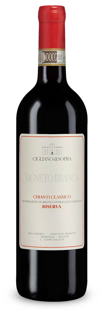 Chianti Classico Riserva Vigneto Branca 2022