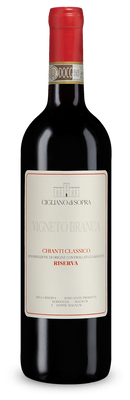 Chianti Classico Riserva Vigneto Branca 2022