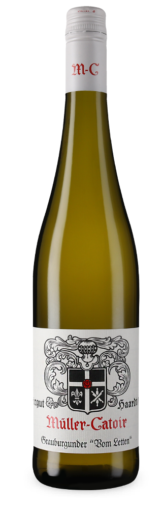 Grauburgunder vom Letten 2024