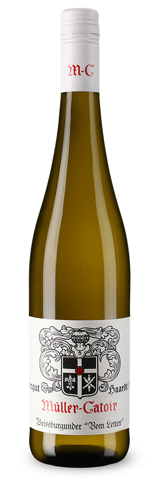 Weißburgunder vom Letten 2024