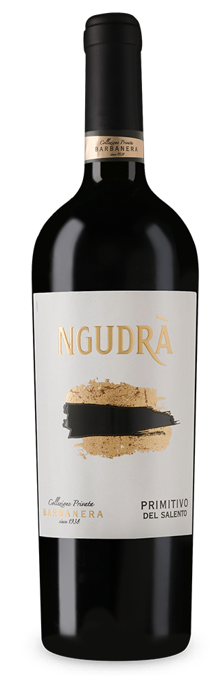 NGUDRÀ Primitivo del Salento 2021