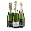 Champagne deluxe: 3 flessen puur genot