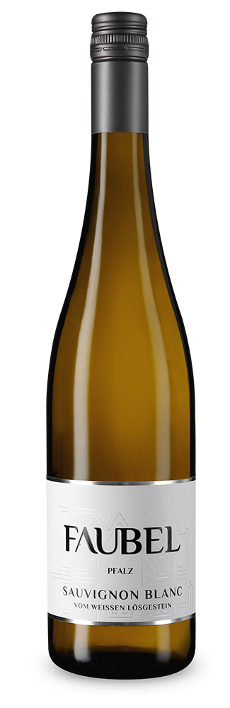 Sauvignon Blanc vom weißen Lössgestein 2025