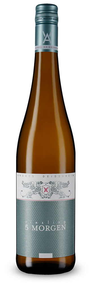 Riesling 5 Morgen 2025