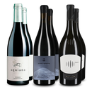 Platina + 97 Decanter-punten: 3x2 prijswinnende wijnen in pakket