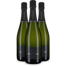 3 flessen Champagne Brut