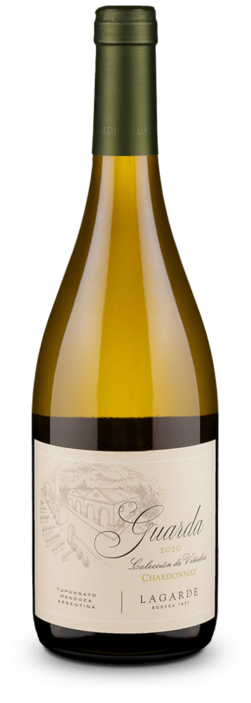 Guarda Colección de Viñedos Chardonnay 2025