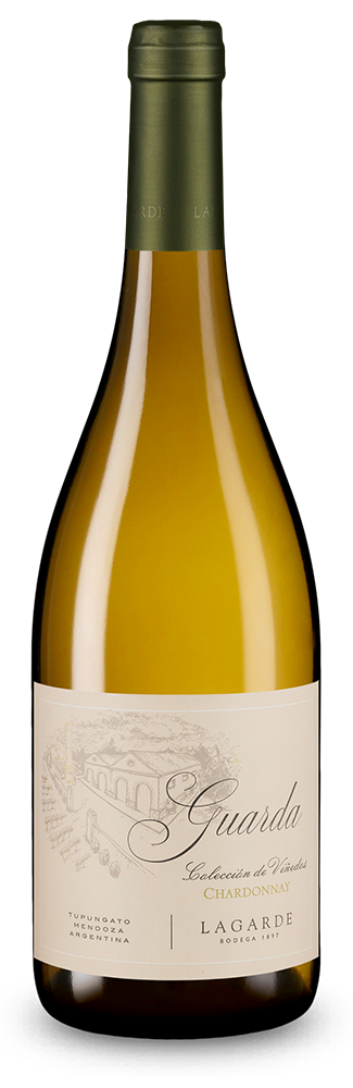 Guarda Colección de Viñedos Chardonnay 2025