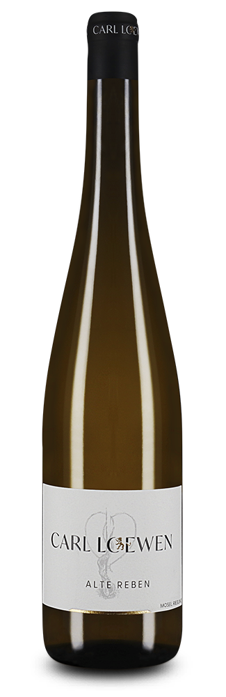 Alte Reben Riesling 2025