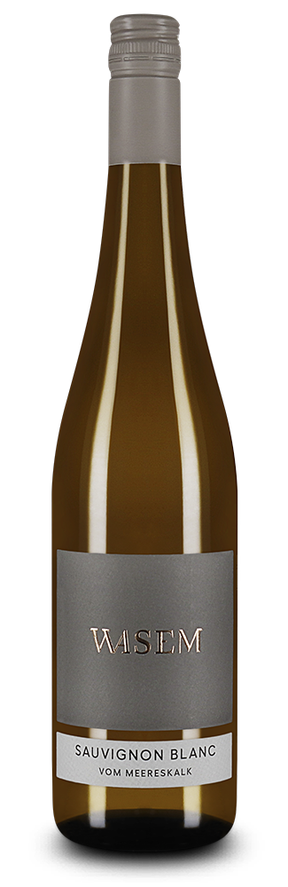 Sauvignon Blanc vom Meereskalk 2025