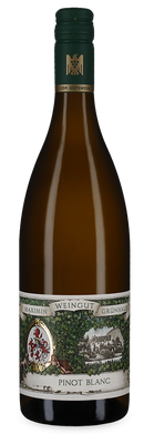 Pinot Blanc 2025