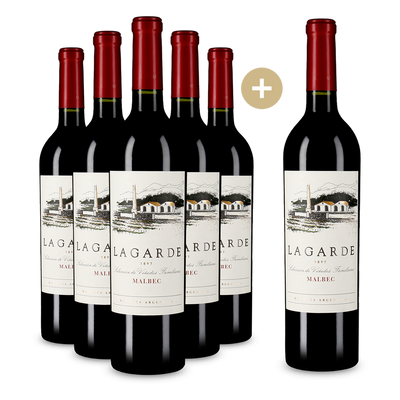 5+1 gratis: Malbec Mendoza 2024